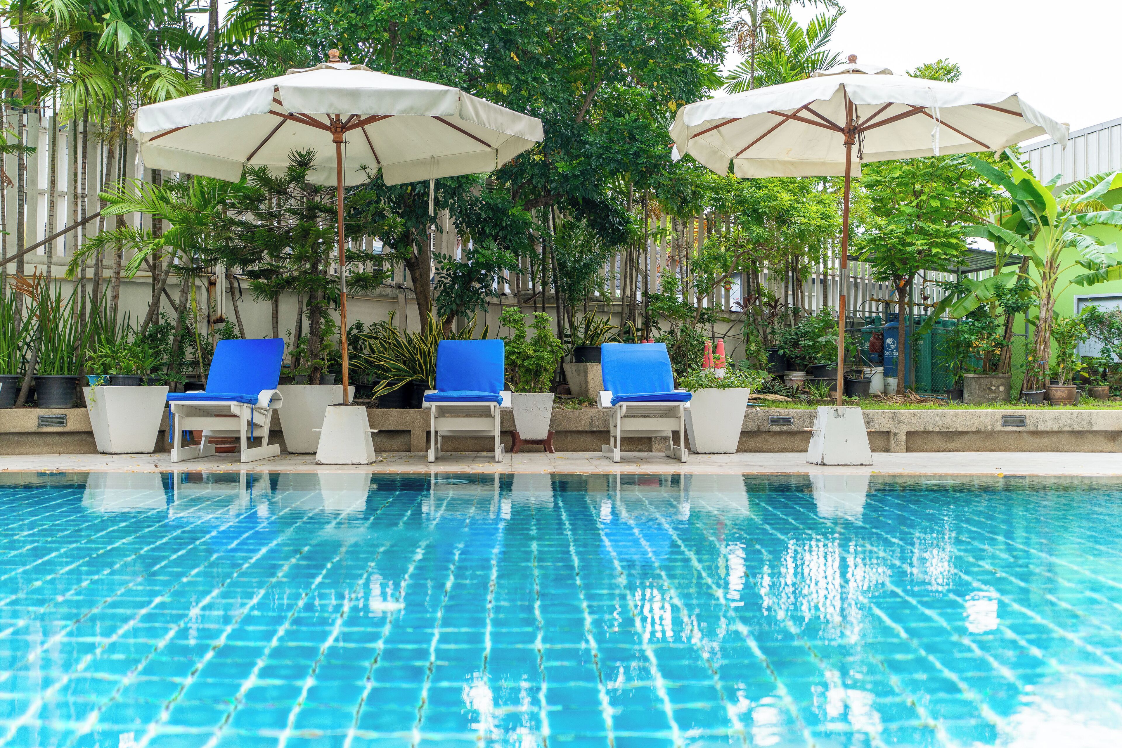 Outdoor pool, pool umbrellas, sun loungers