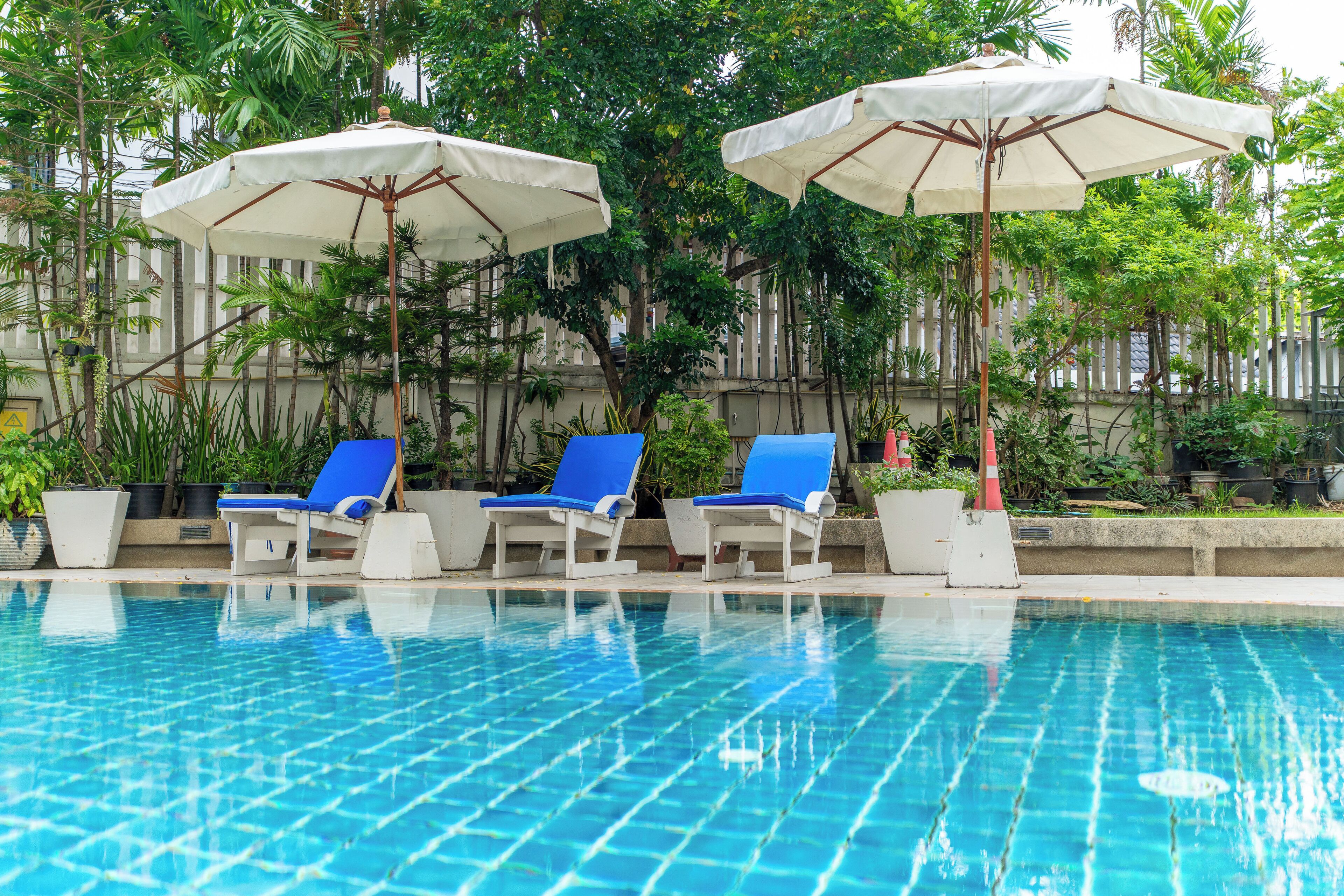야외 수영장, 수영장 파라솔, 일광욕 의자