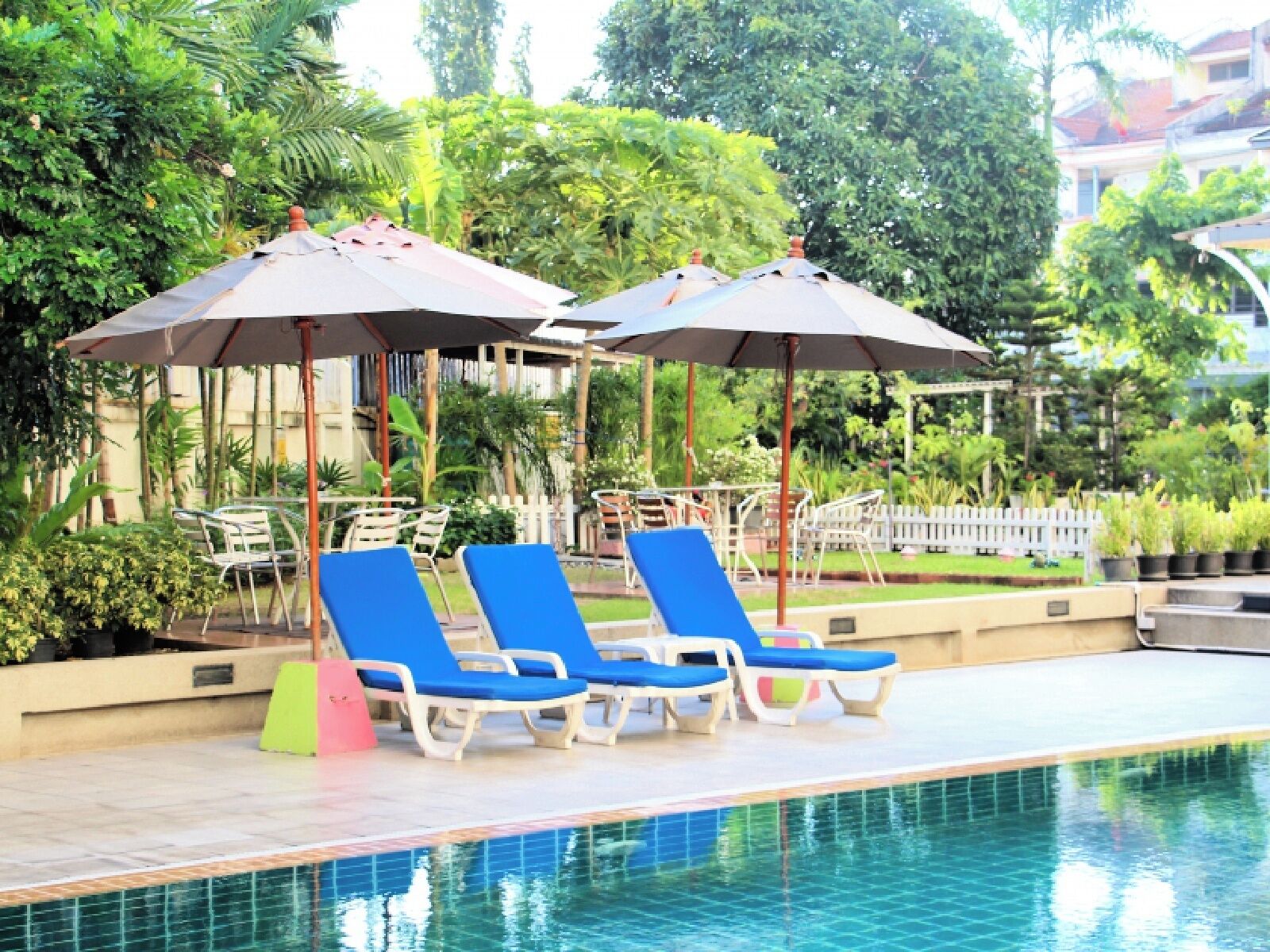 Outdoor pool, pool umbrellas, pool loungers