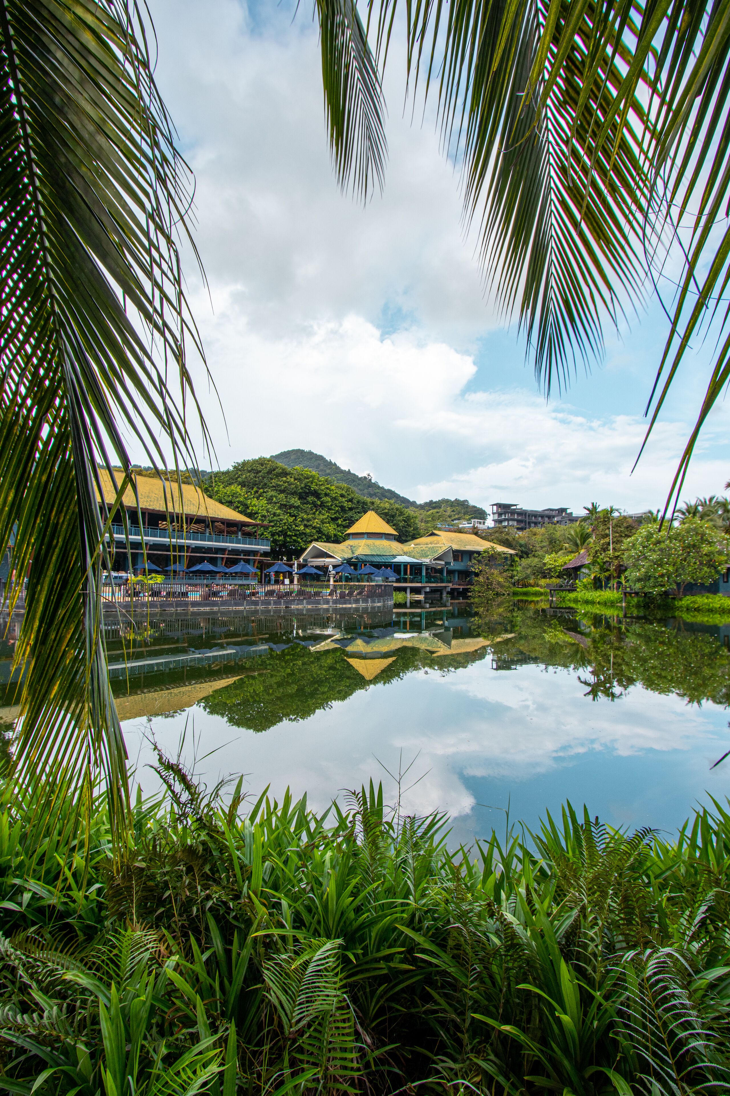 Private Cottage | Vista desde la habitación