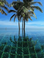 2 kolam renang terbuka