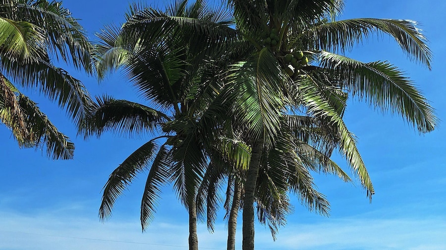 Rest Detail Hotel Hua Hin