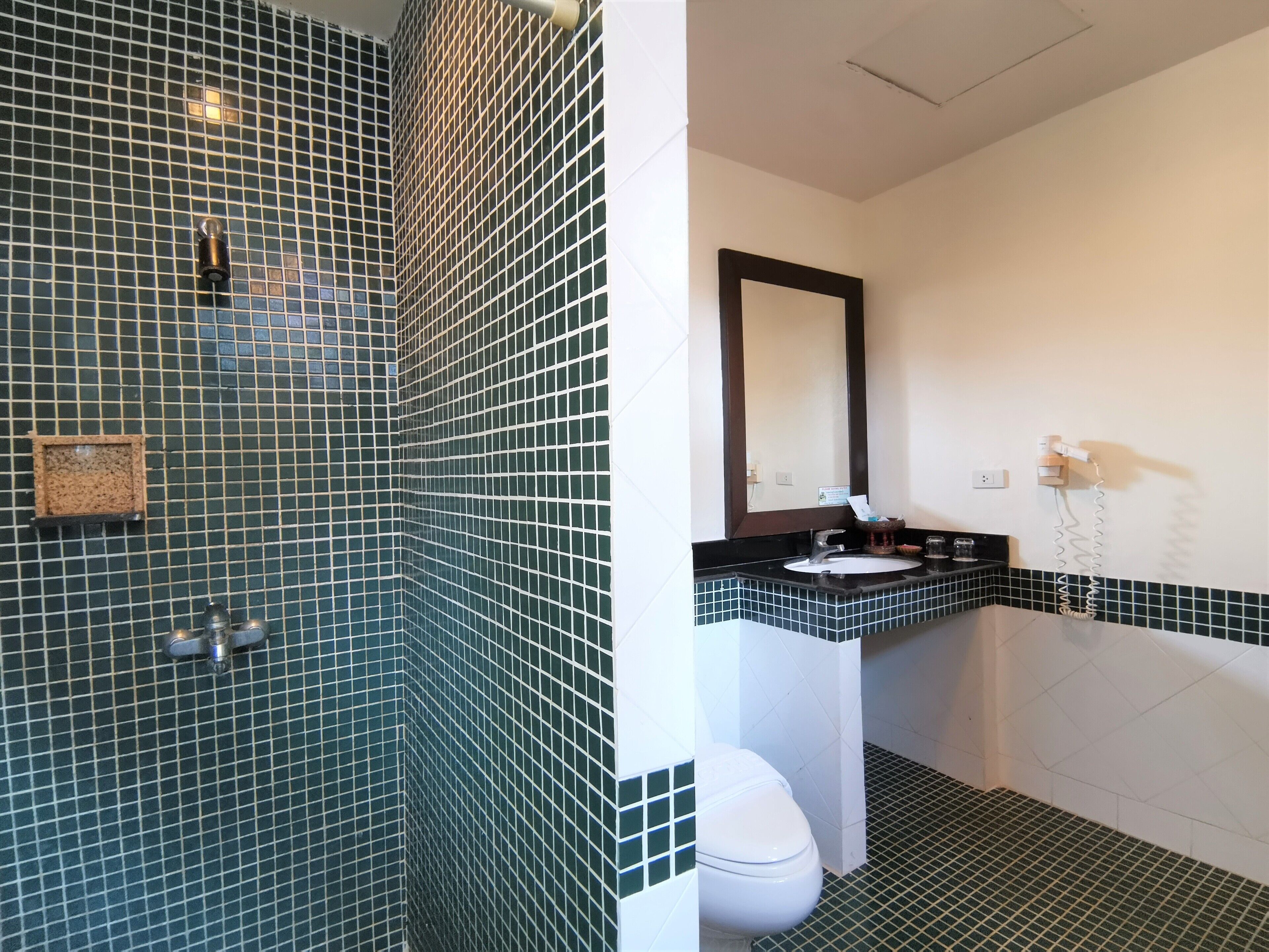 deluxe room | bathroom | shower, hair dryer, towels