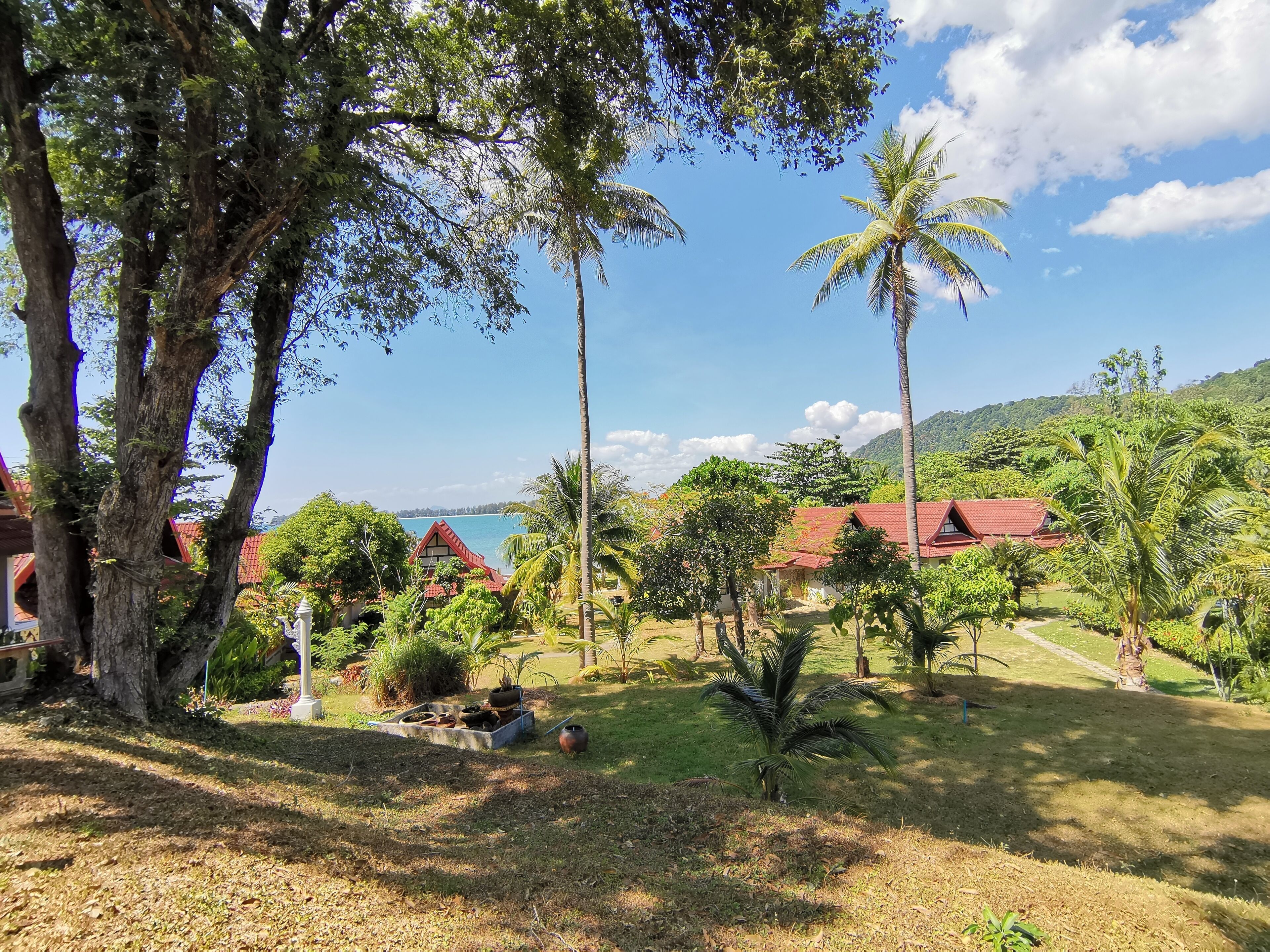 Blick auf den Garten