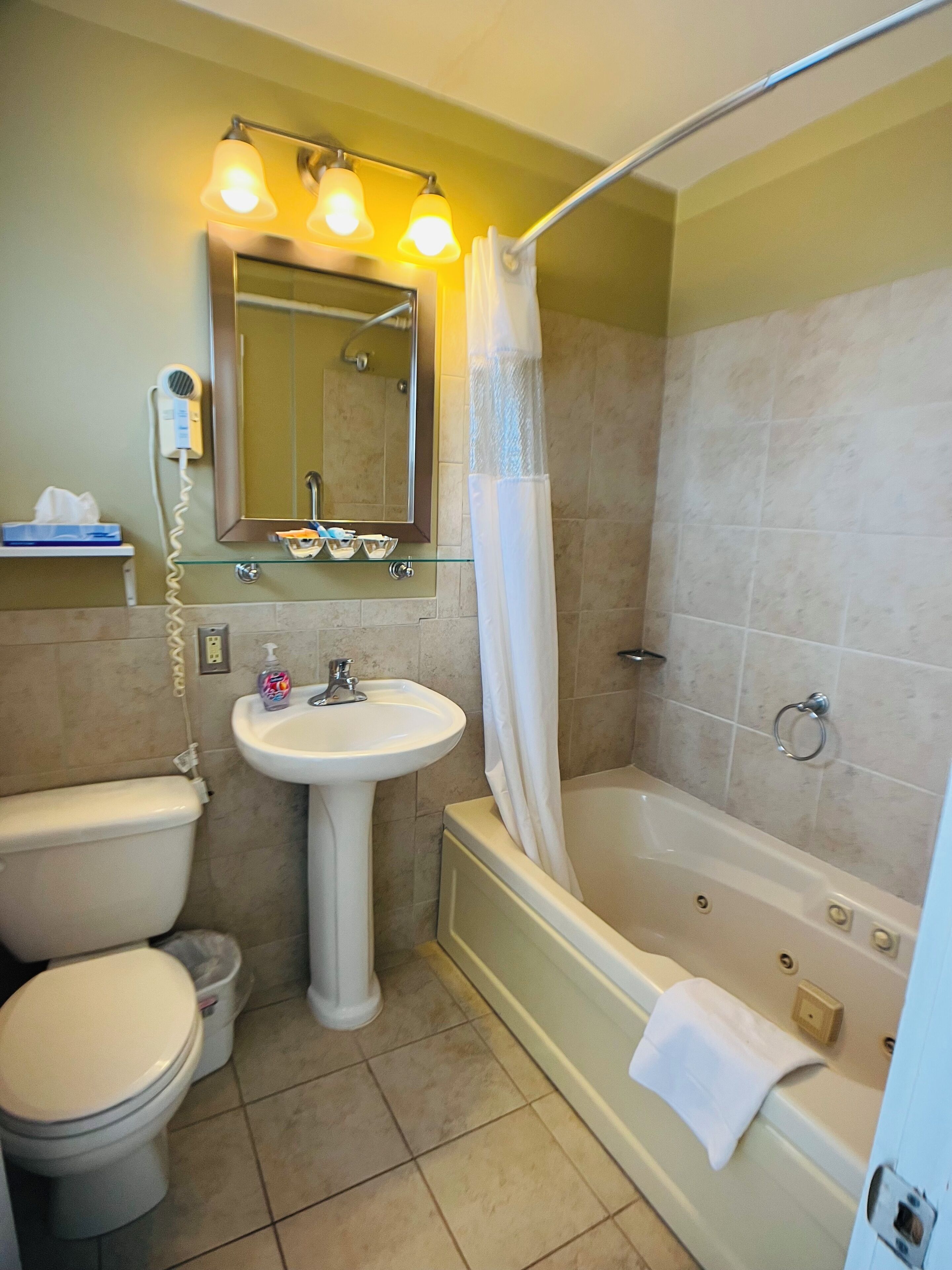 Combined shower/tub, free toiletries, hair dryer, towels