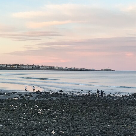 해변