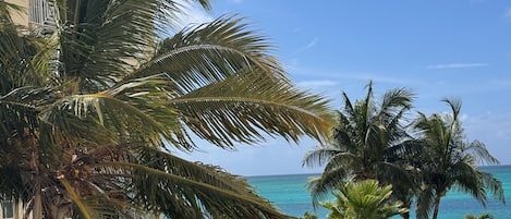 Studio Luxe | Vue depuis le balcon