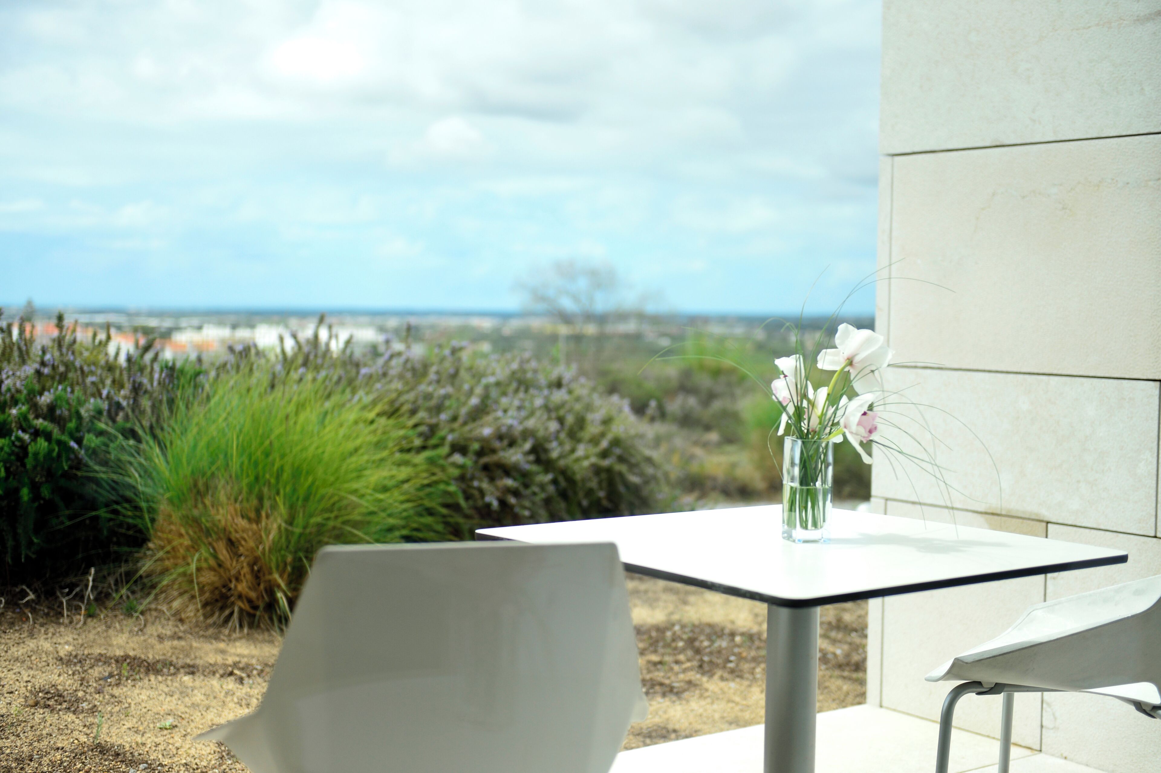 Foto - Pousada Palacio de Estoi – Small Luxury Hotels of the World