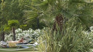 Jardin