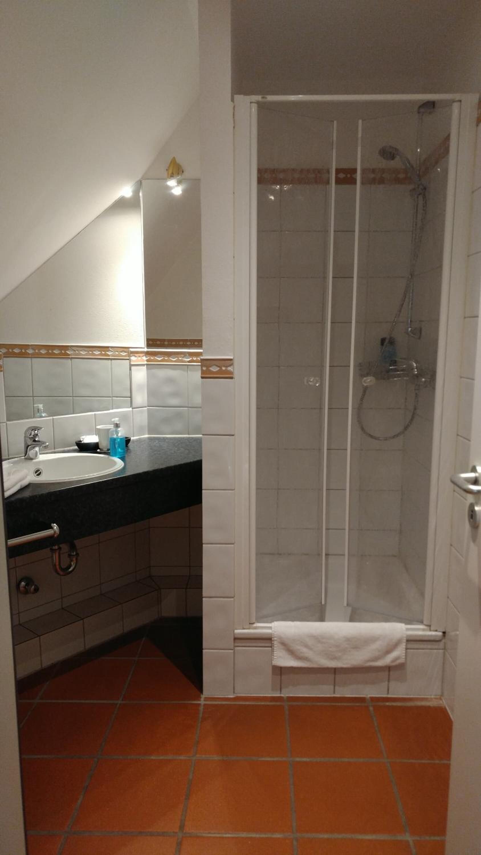 A bathroom with a sink, mirror, and shower.