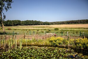 Exterior - DreiMädelHaus - Restaurant & Hotel (Kirchseelte)