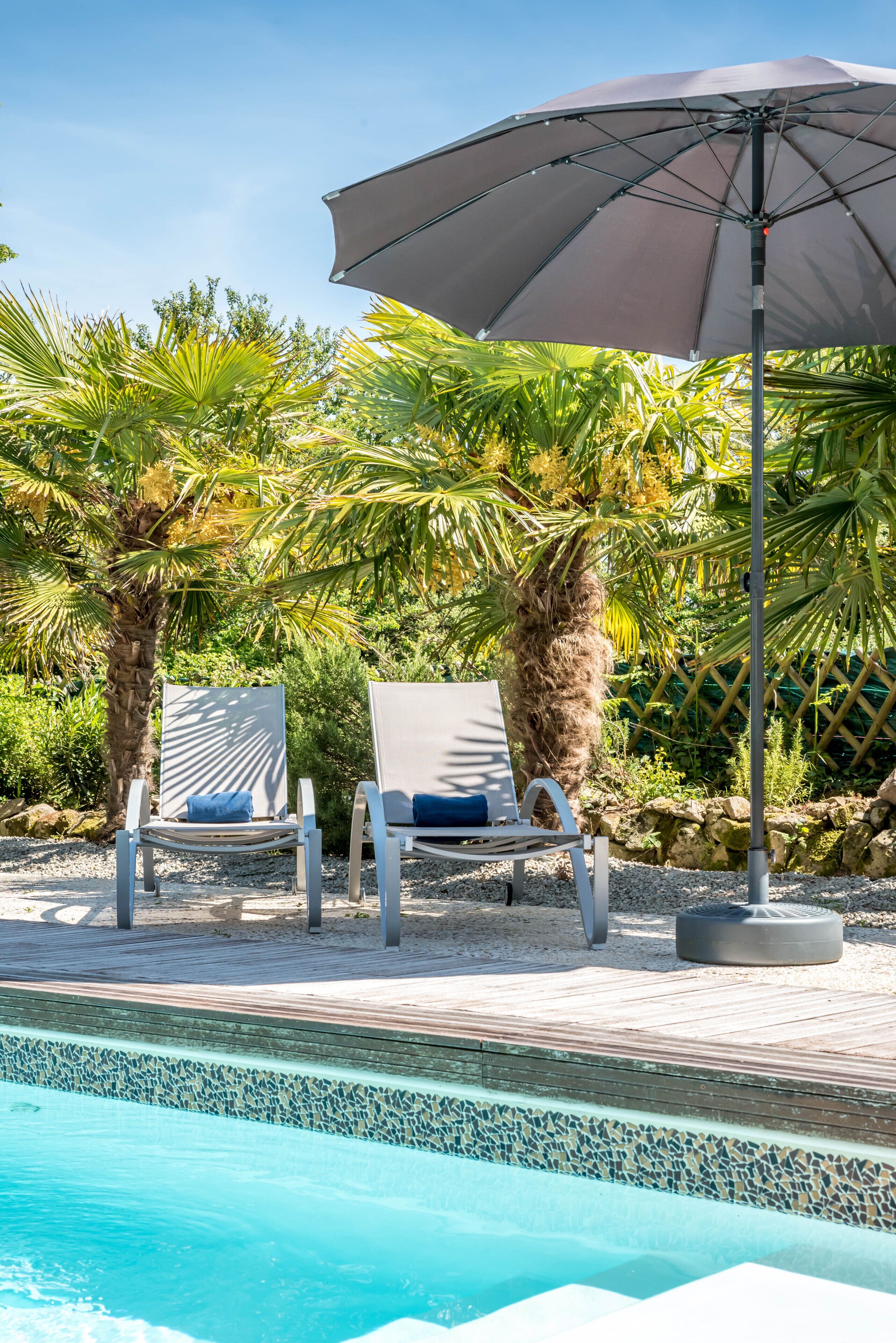 A poolside area with two lounge chairs, a large umbrella, and a palm tree.
