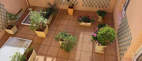 A courtyard with potted plants, a lattice wall, and a tiled floor.