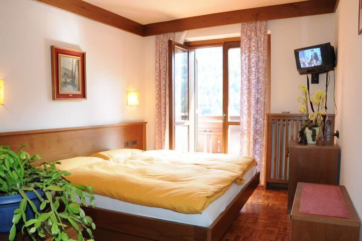 Un dormitorio con una cama, televisor, ventana con cortinas, una planta y una pequeña mesa.