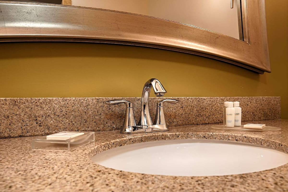 Baño | Amenidades de baño gratuitas, secadora de cabello, toallas