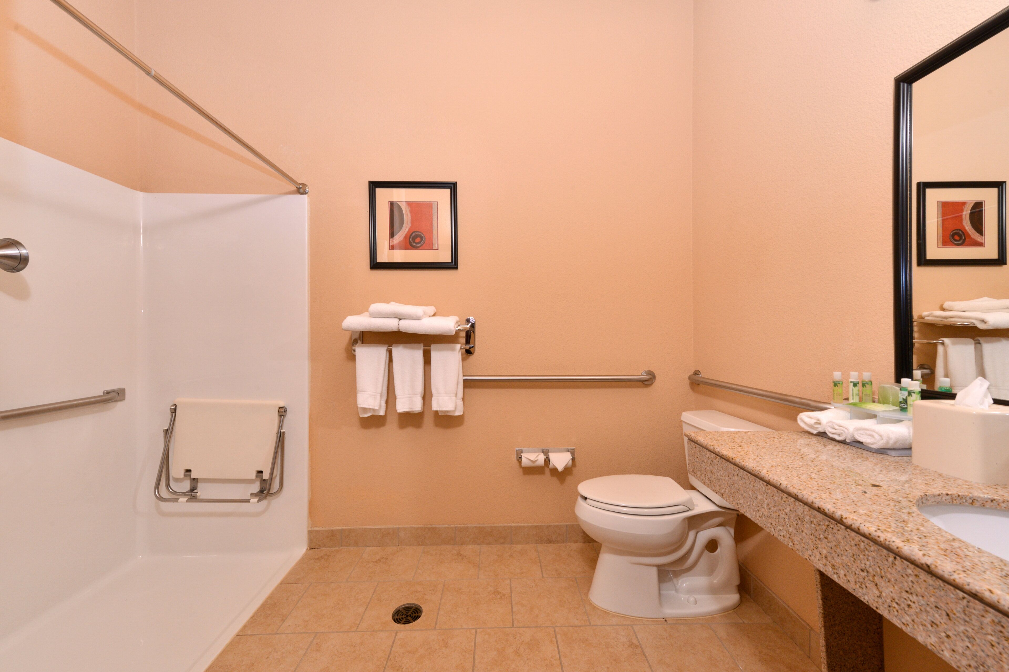 Un baño con inodoro, lavamanos, barras de apoyo y ducha.