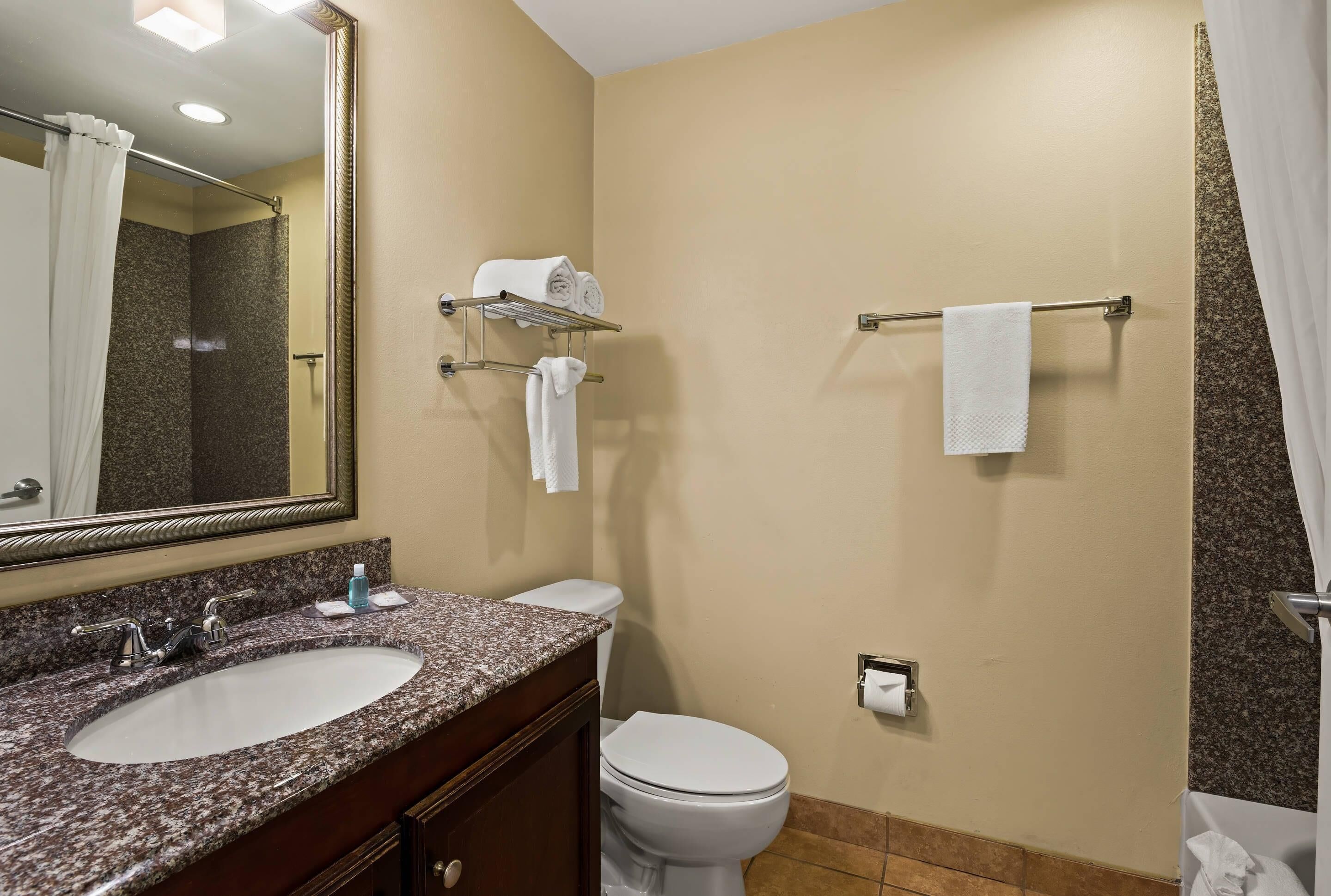 Een badkamer met een wastafel van graniet, een wit toilet, een handdoekhouder en een spiegel.