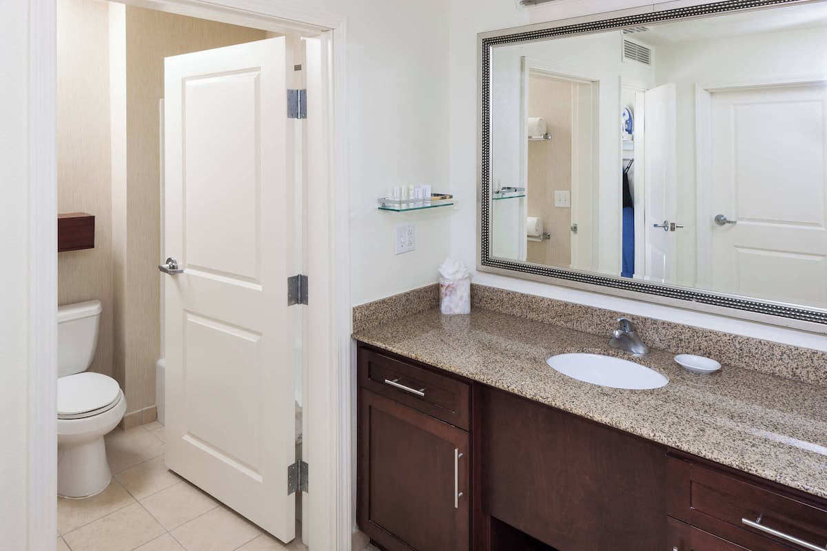 Un baño con inodoro blanco, lavabo y un espejo grande.