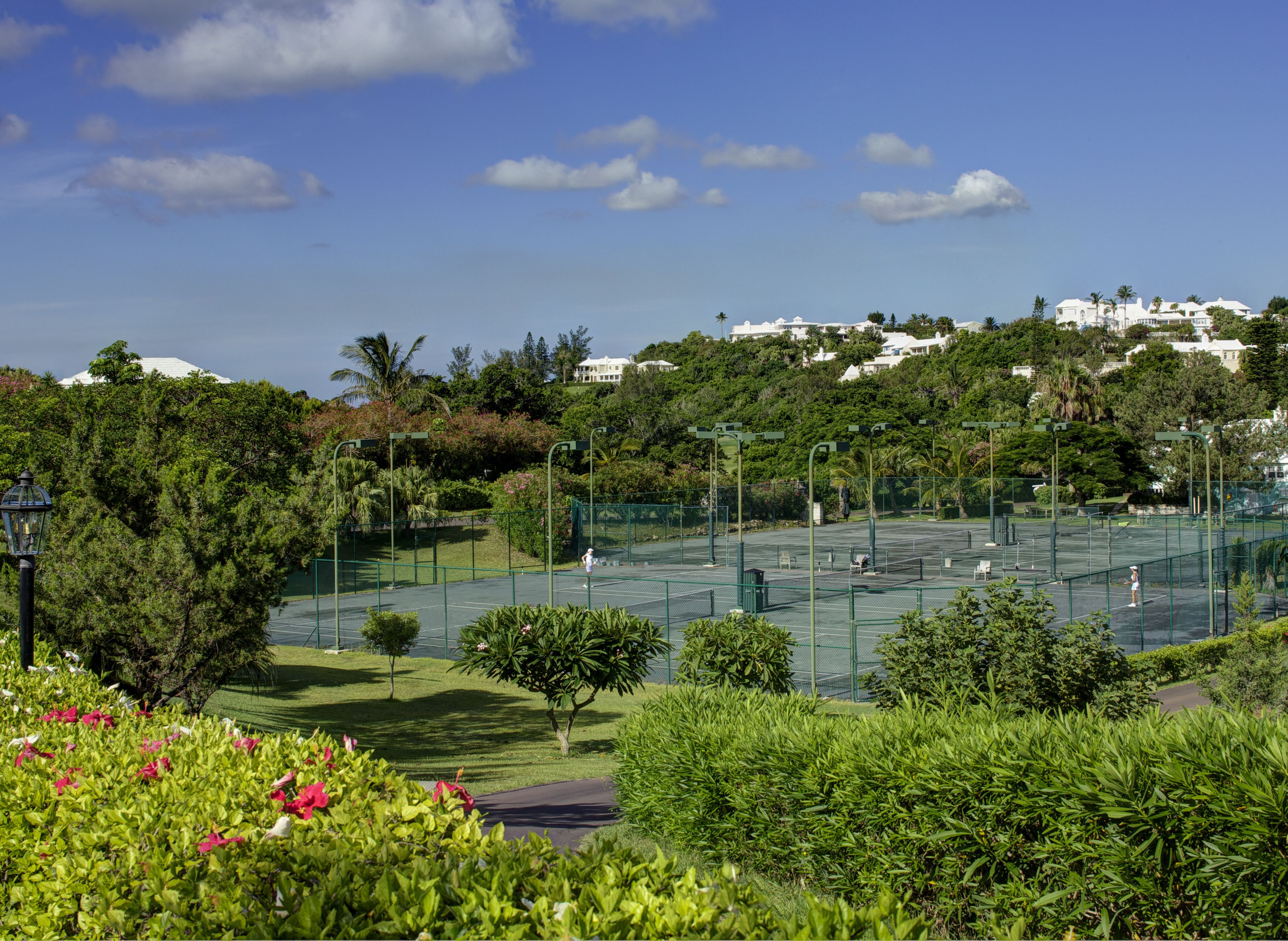A tennis court surrounded by lush greenery and a clear blue sky.