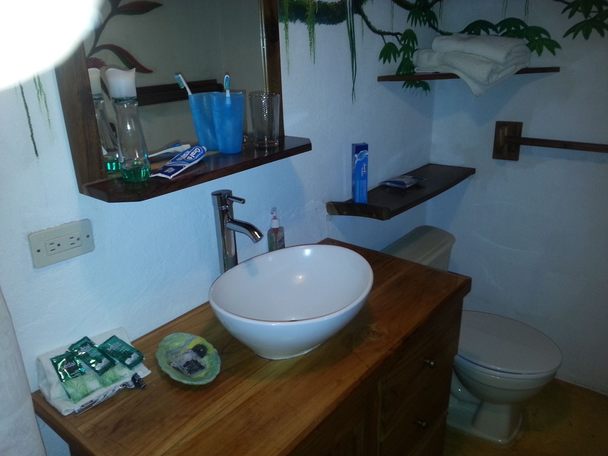 standard room, 1 queen bed | bathroom | shower, free toiletries, towels