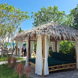 Massage mô sâu, massage Thái, dịch vụ massage