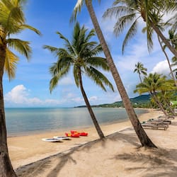 Beach nearby, beach bar, kayaking
