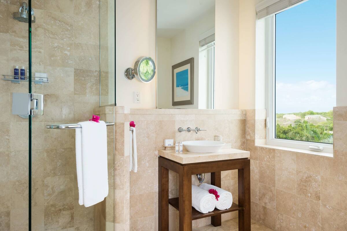 shower, free toiletries, hair dryer, towels