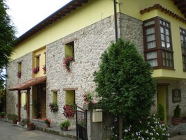 Un edificio de piedra con varias ventanas, algunas con macetas de flores, y un pequeño árbol en la fachada.