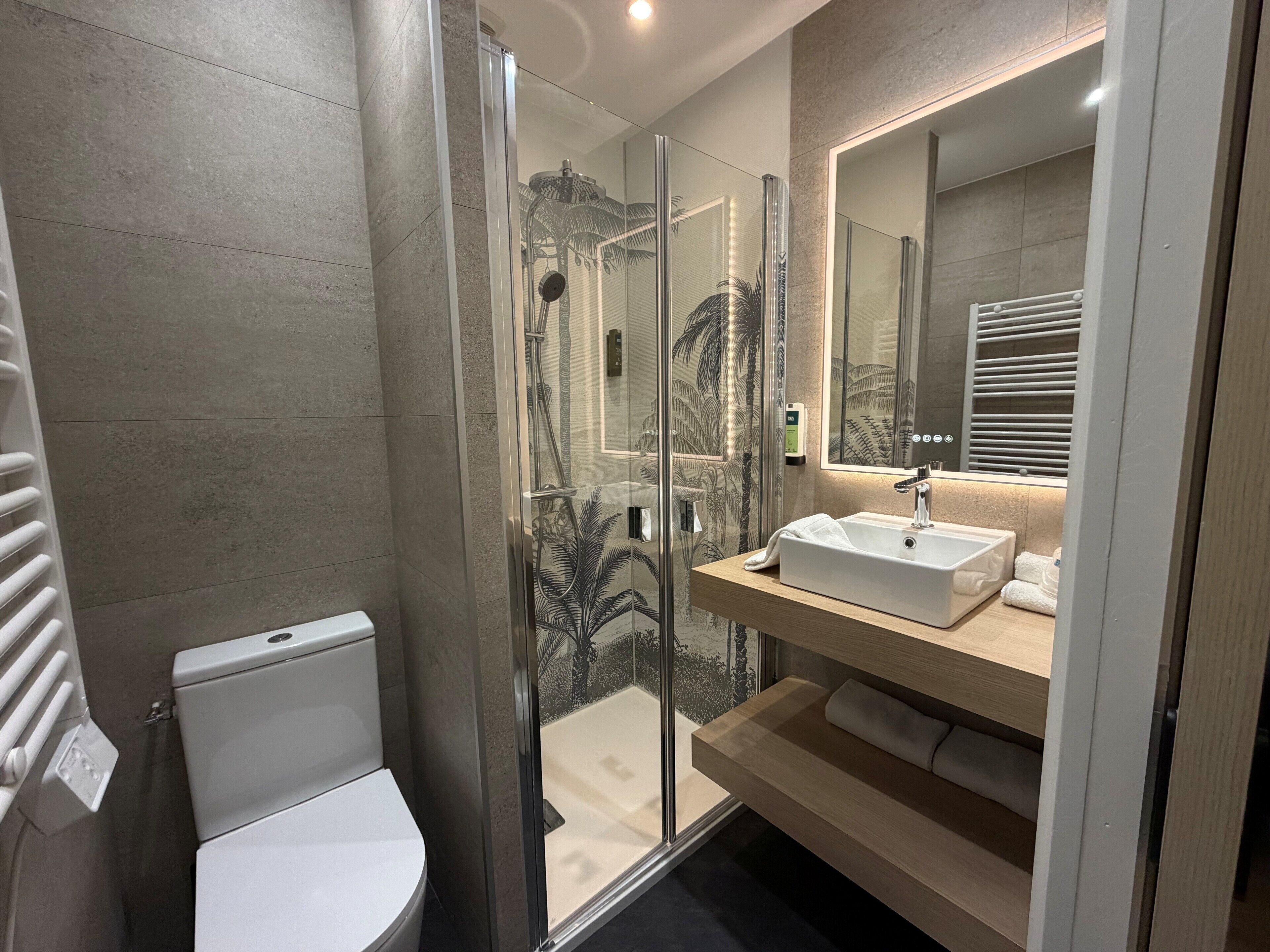 A modern bathroom with a glass-enclosed shower, a white toilet, a wooden vanity with a sink, and a large mirror.