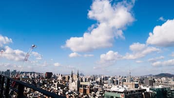 露台/庭院