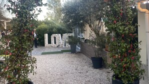 Un espacio al aire libre con un camino de grava, plantas en macetas y un gran letrero que dice 'LOVE'.