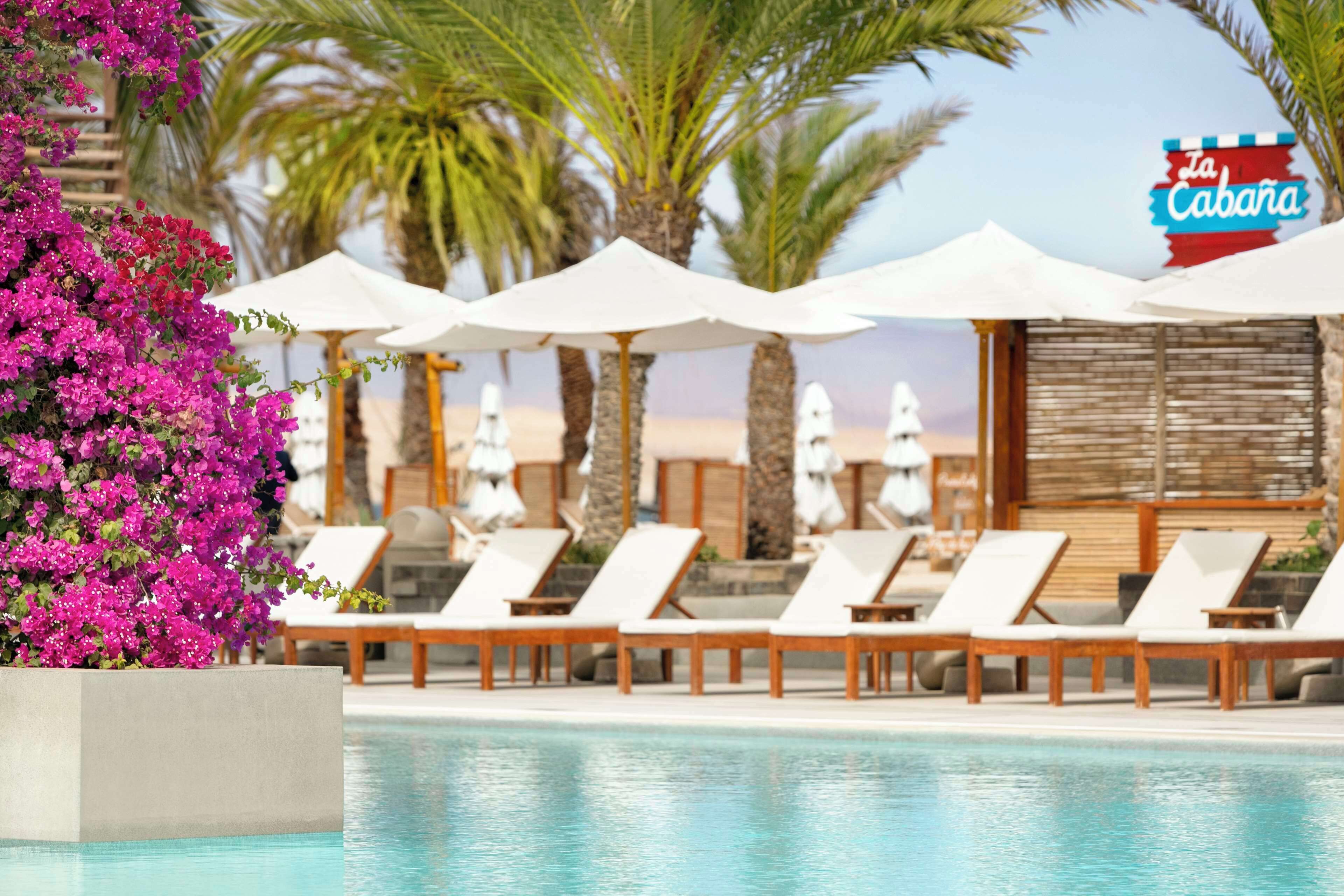 Outdoor pool, open 8:00 AM to 7:30 PM, pool umbrellas, sun loungers