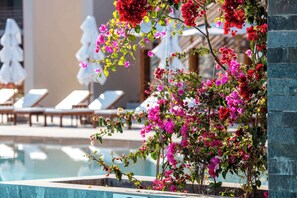 A pool area with lounge chairs and a blooming bougainvillea plant. - The Legend Paracas Resort, a Destination by Hyatt Hotel (Paracas)
