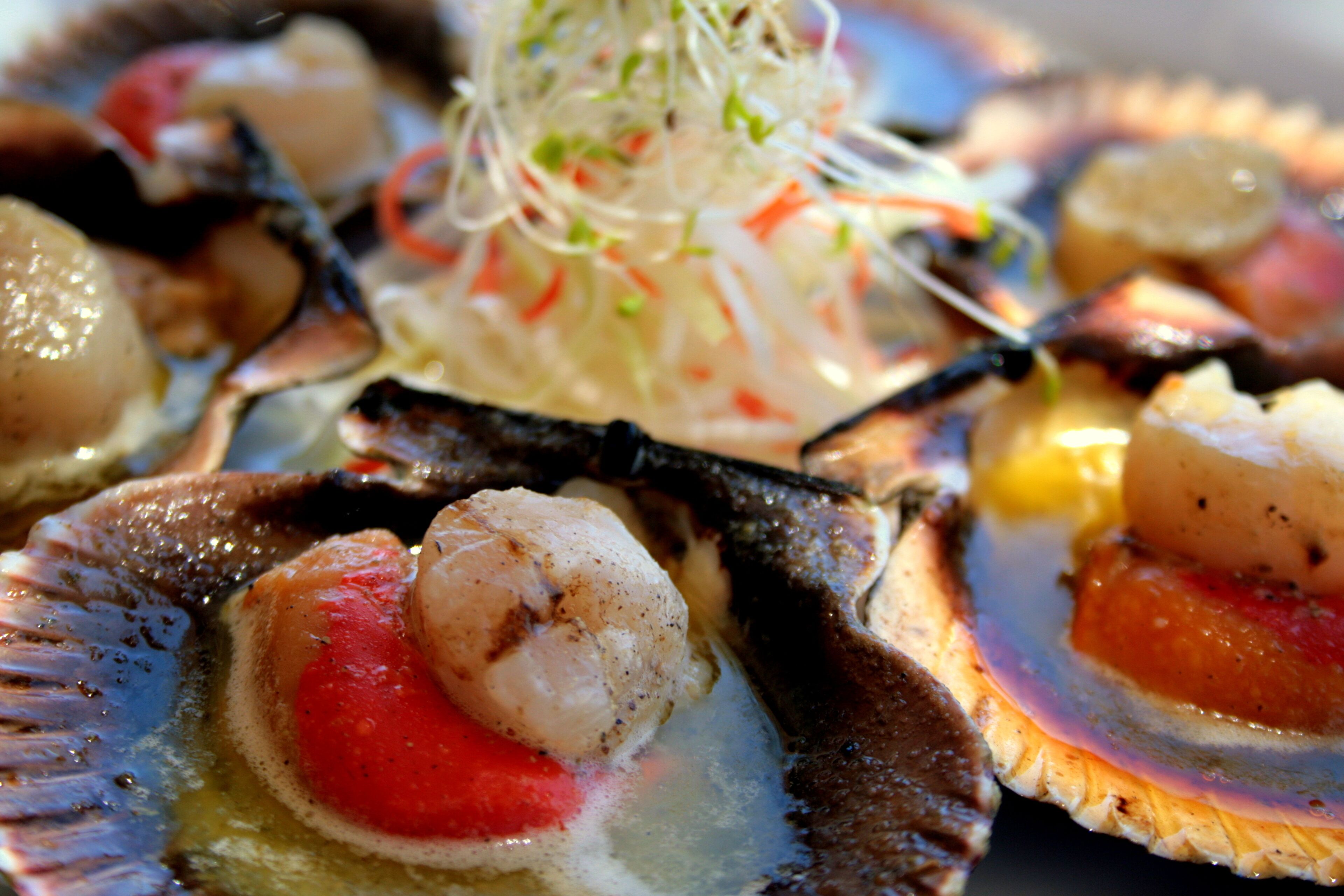 A close-up of a seafood dish with scallops and a red sauce.