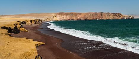 Un paisaje costero con una playa de arena, acantilados rocosos y un cielo azul despejado.