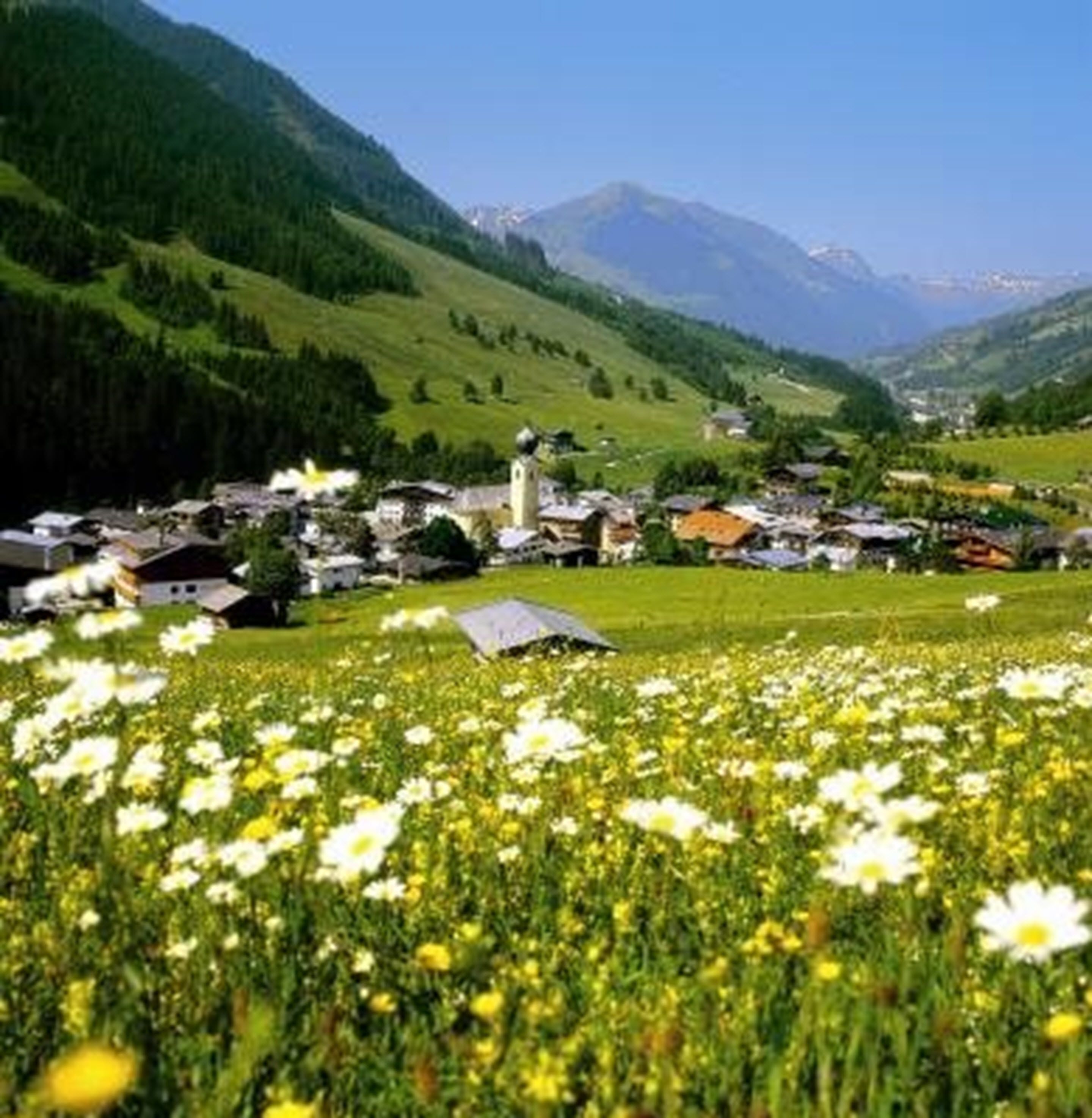 A rural village with houses, a church, and mountains in the background.