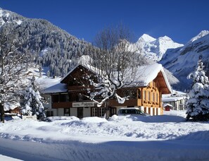 Front of property - Hotel Alpina (Kandersteg)
