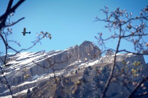 Single Room | Desk, free cribs/infant beds, free WiFi, bed sheets - Hotel Alpina (Kandersteg)