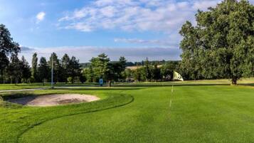 Enjoy a round of golf on our meticulously maintained course, surrounded by lush greenery and shaded by trees.