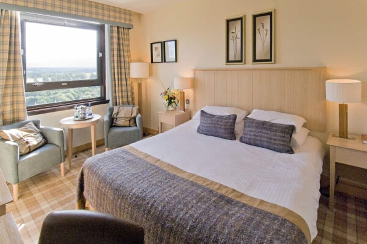 Executive Double Room | Iron/ironing board, free cribs/infant beds, free WiFi
