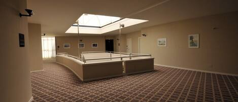 A hotel room with a skylight, a large bed, and patterned carpet.