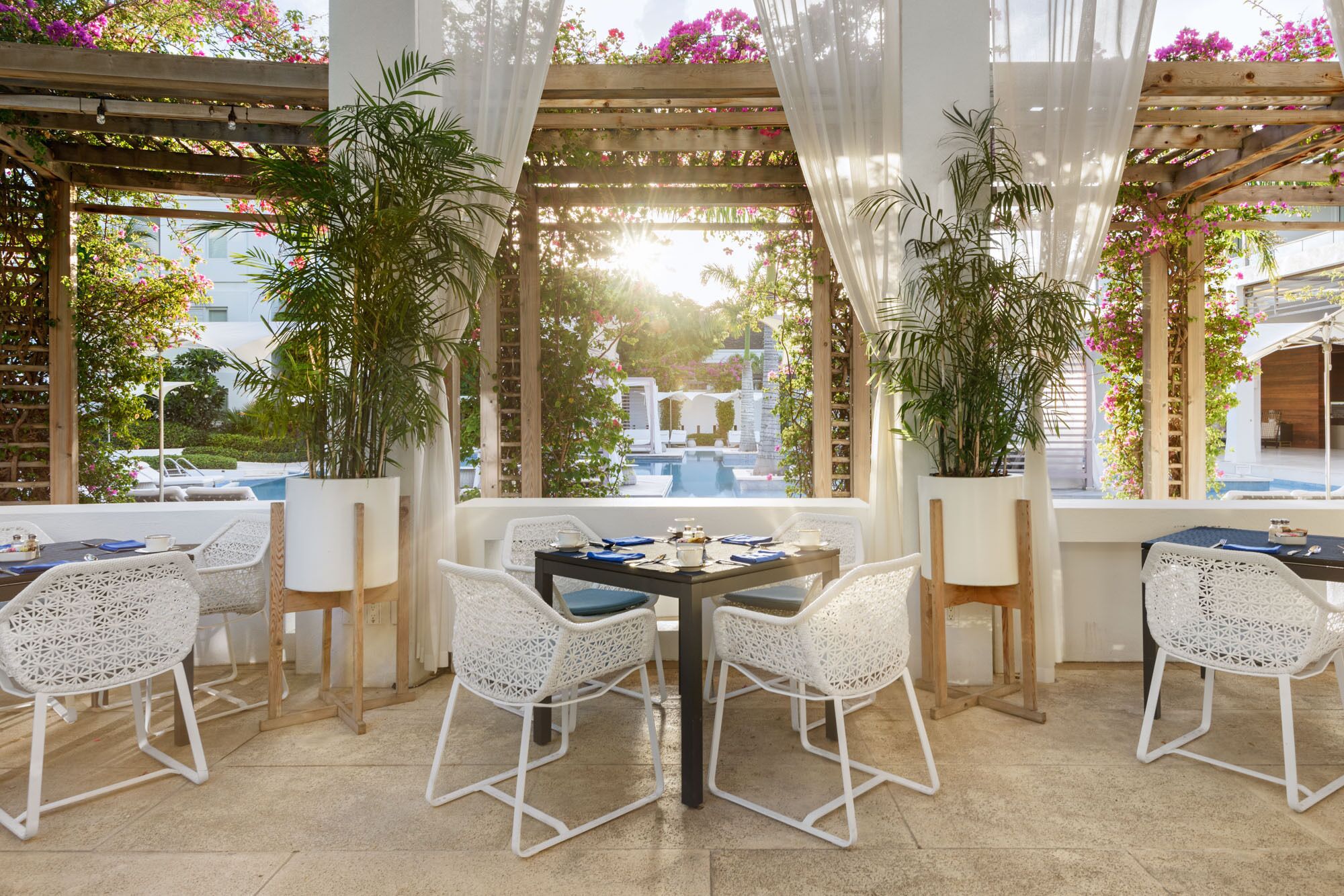 Un espacio de comedor al aire libre con sillas blancas y una mesa, rodeado de plantas en macetas y una pérgola de madera.