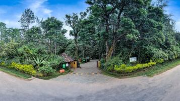 Enter a serene oasis surrounded by lush greenery and a rustic building inviting exploration.
