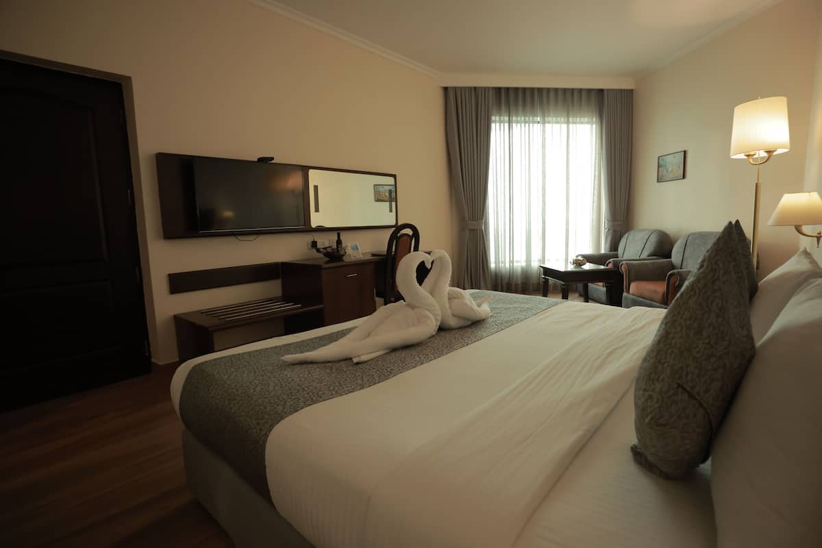 Habitación de hotel con una cama grande, un televisor de pantalla plana en la pared, un escritorio con una silla, un sofá y una lámpara.
