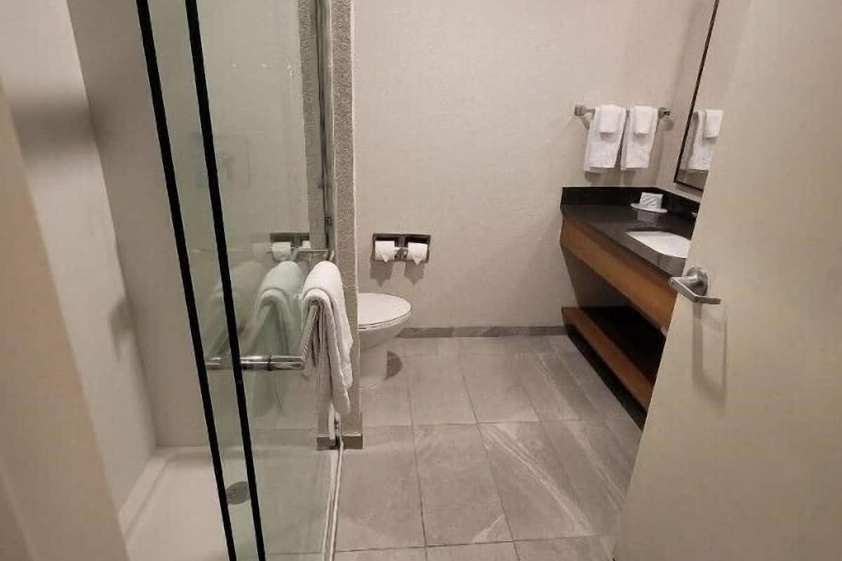 free toiletries, hair dryer, towels