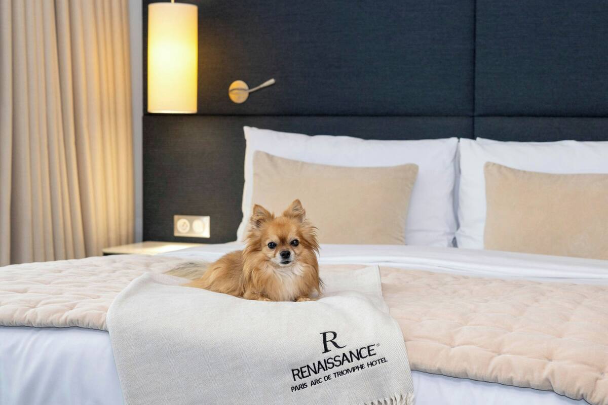 Chambre Famille, 2 très grands lits | Literie de qualité, minibar, coffre-fort pour ordinateur portable
