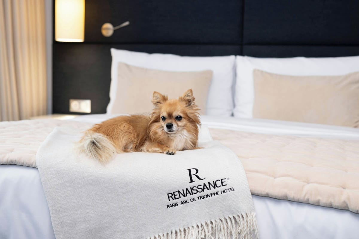Ropa de cama de alta calidad y minibar