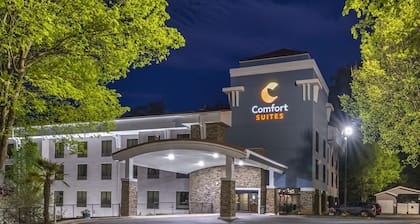 Comfort Suites At Kennesaw State University