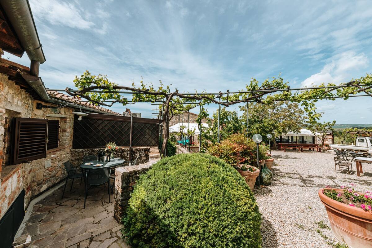 Ein Innenhof mit Steinplatten, einer Rundhecke, Gartenmöbeln und einer Pergola mit Weinranken.