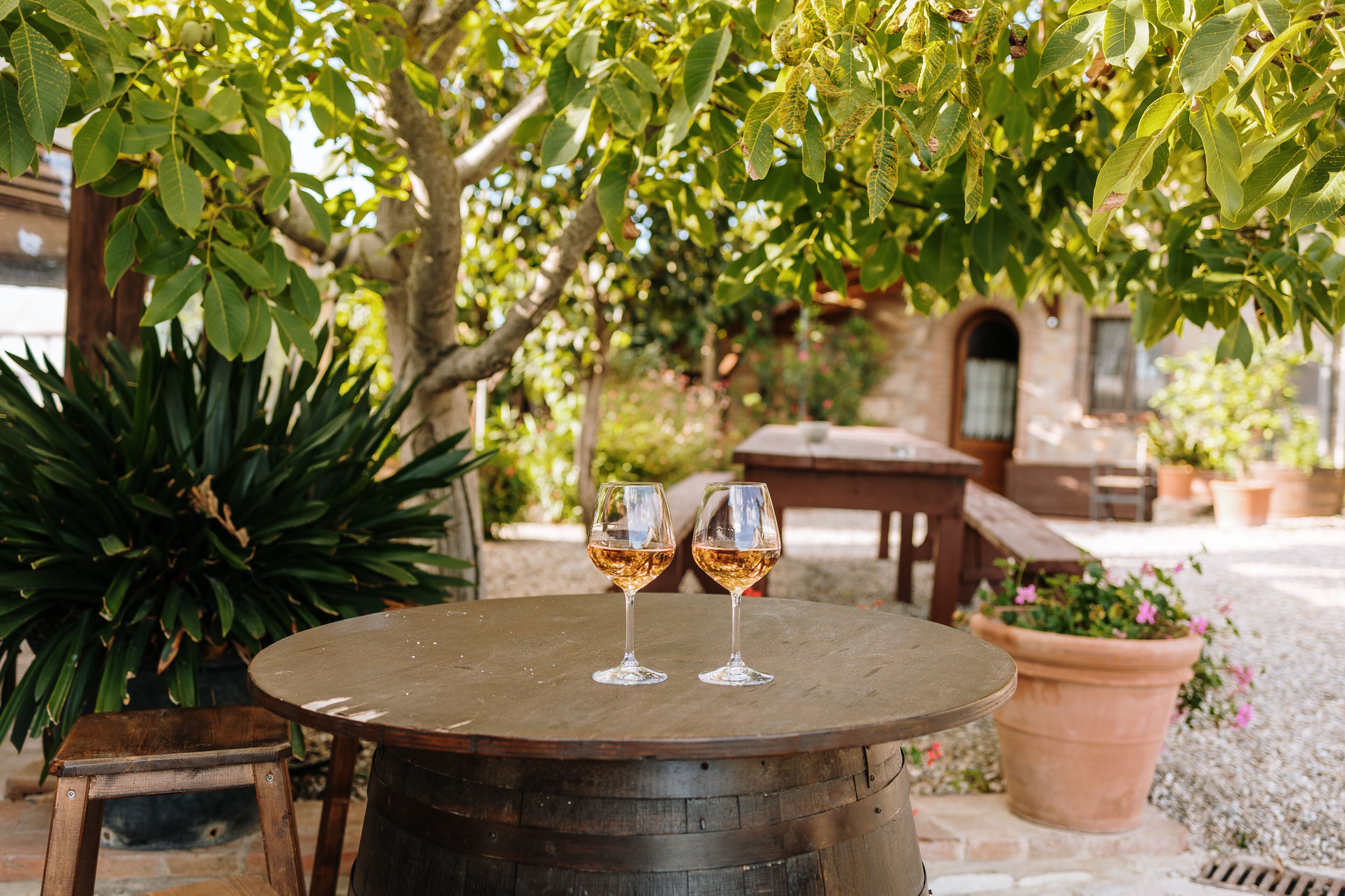 Frühstück, Mittagessen, Abendessen, lokale Küche, Blick auf den Garten 